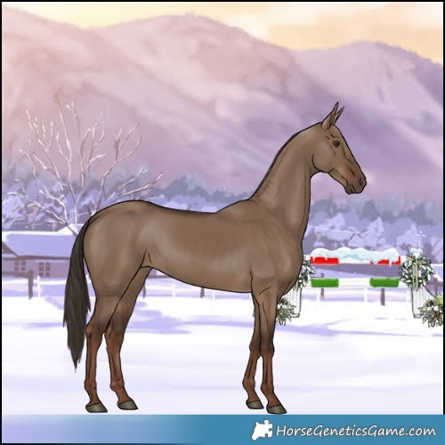 Horse Color:Liver Red Dun 