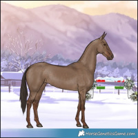 Horse Color:Liver Red Dun