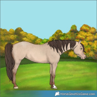 Horse Color:Amber Champagne Dun 