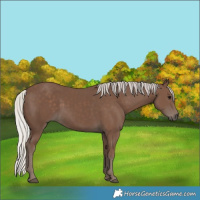 Horse Color:Silver Black 