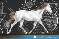 Horse Color:Gold Champagne Ice Dun Sabino Splash Near Leopard 