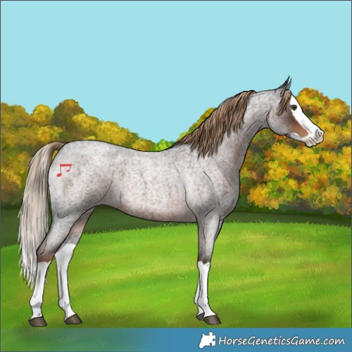 Horse Color:Liver Red Roan Splash 