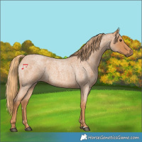 Horse Color:Red Roan 