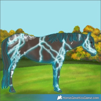 Horse Color:Thunderstruck White Spotted Liver Chestnut Ice 