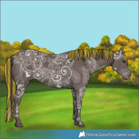 Horse Color:Painted White Spotted Liver Chestnut Ice 