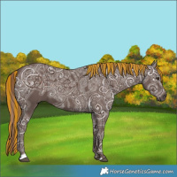 Horse Color:Painted Liver Chestnut Ice Sabino 