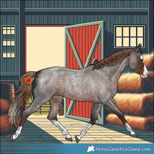 Horse Color:Liver Red Roan Splash