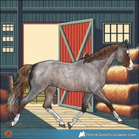 Horse Color:Liver Red Roan Splash 