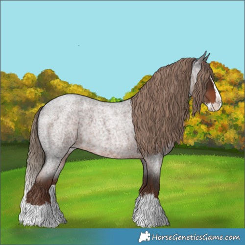 Horse Color:Liver Red Roan Splash 