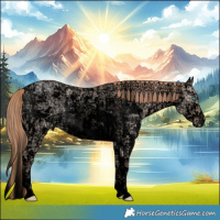 Horse Color:Void Perlino Ice Dun Sabino Tobiano  and Void Perlino Ice Dun Sabino 