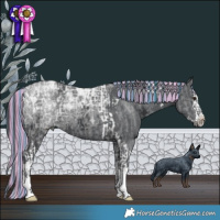 Horse Color:Painted Black Chinchilla Ice Tobiano and Painted Black Chinchilla Ice Splash