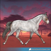 Horse Color:Liver Red Roan Mushroom Splash