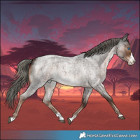 Horse Color:Liver Red Roan Mushroom Splash 