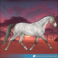 Horse Color:Liver Red Roan Mushroom Splash