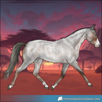 Horse Color:Liver Red Roan Mushroom Splash 