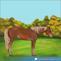 Horse Color:Chestnut 