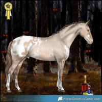 Horse Color:White Spotted Brown Pearl Dun Tobiano Appaloosa Rabicano