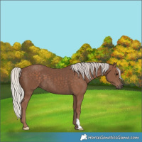 Horse Color:Silver Black 