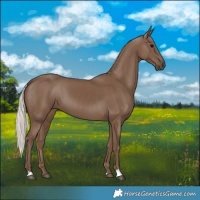 Horse Color:Silver Black 