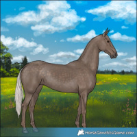 Horse Color:Silver Black 