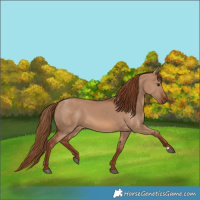 Horse Color:Red Dun 