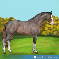 Horse Color:Liver Red Roan Splash 