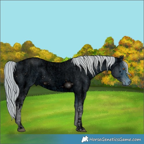 Horse Color:ERROR: UNKNOWN ANOMALY