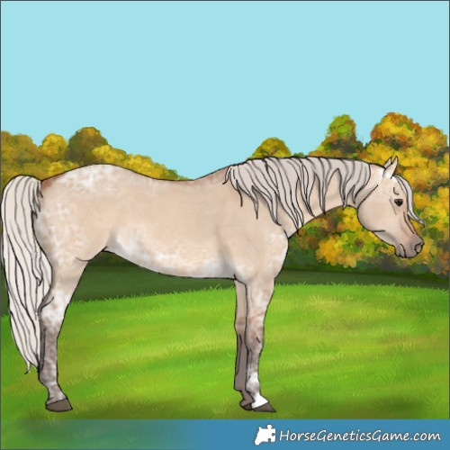 Horse Color:Silver Brown Ice Dun 