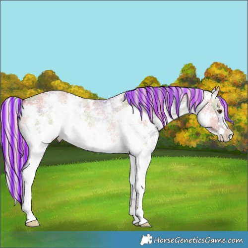 Horse Color:Painted Nacre Silver Brown Dun Sabino Rabicano 