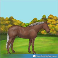 Horse Color:Silver Black 