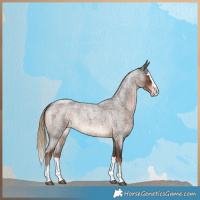 Horse Color:Liver Red Roan Splash