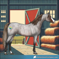 Horse Color:Liver Red Roan Splash 