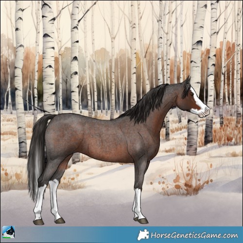 Horse Color:Liver Red Roan Splash