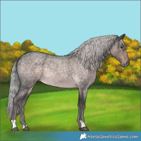 Horse Color:Platinum Chocolate Palomino Roan Mushroom 