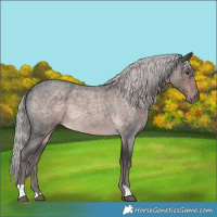 Horse Color:Platinum Chocolate Palomino Roan Mushroom