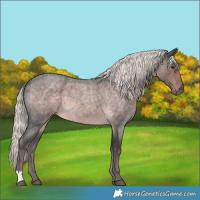 Horse Color:Platinum Chocolate Palomino Roan Mushroom 