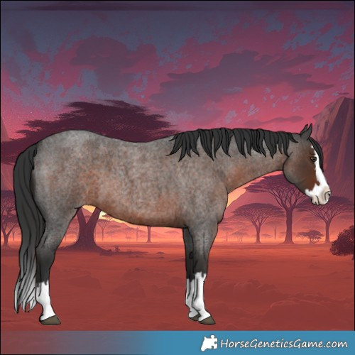 Horse Color:Liver Red Roan Splash