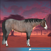 Horse Color:Liver Red Roan Splash