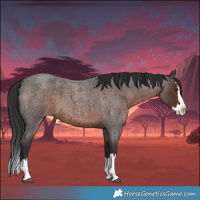 Horse Color:Liver Red Roan Splash