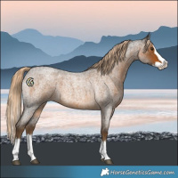 Horse Color:Chocolate Palomino Roan Splash 