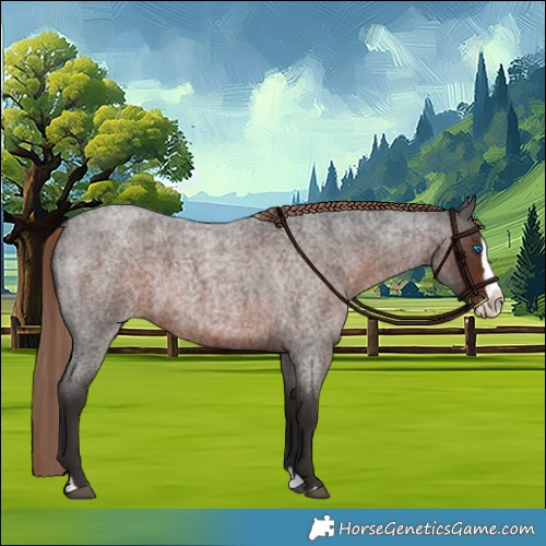 Horse Color:Liver Red Roan Splash