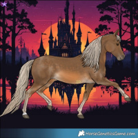 Horse Color:Chocolate Palomino 
