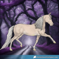 Horse Color:Cremello 