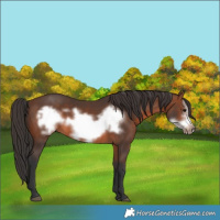 Horse Color:Brown Frame 