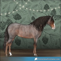 Horse Color:Liver Red Roan Splash 