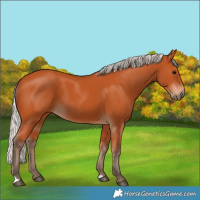 Horse Color:Silver Bay 