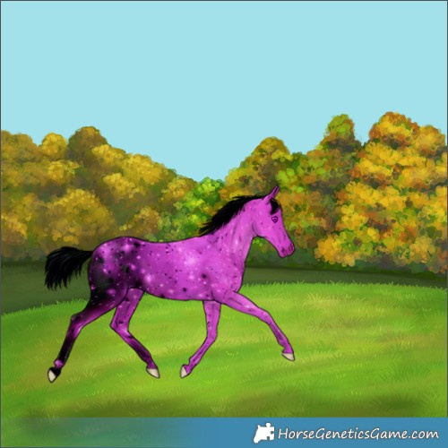 Horse Color:ERROR: UNKNOWN ANOMALY