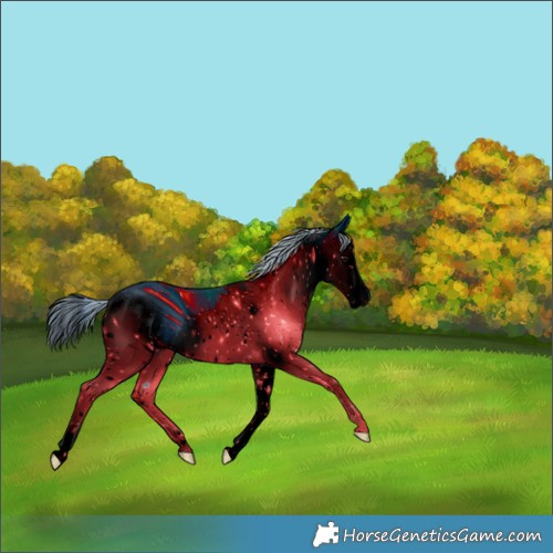 Horse Color:ERROR: UNKNOWN ANOMALY