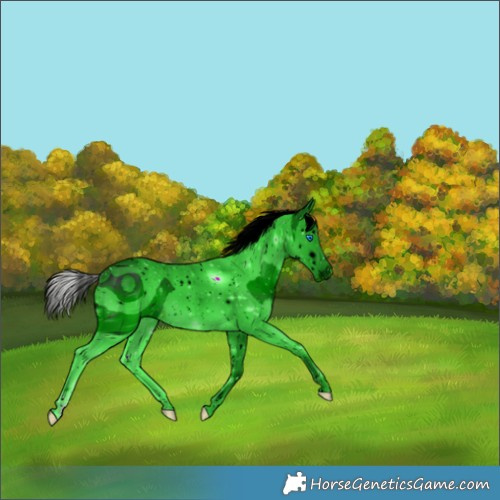 Horse Color:ERROR: UNKNOWN ANOMALY