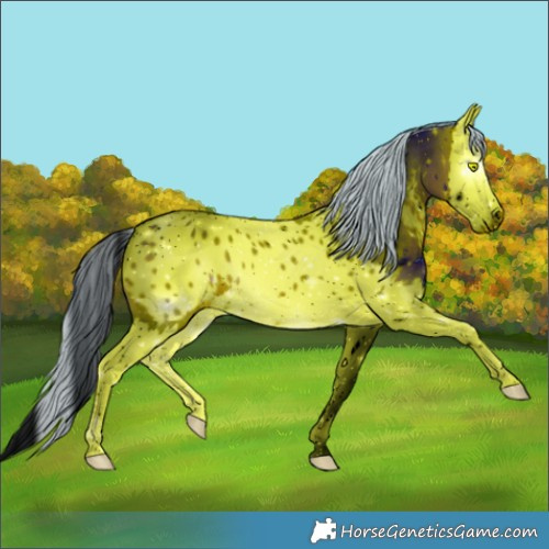 Horse Color:ERROR: UNKNOWN ANOMALY